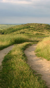 Willkommen auf www.schlagbauer.info